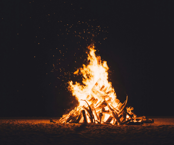 Pushkar Holi