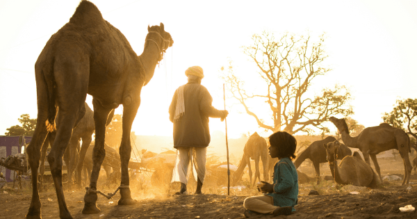 Pushkar Holi